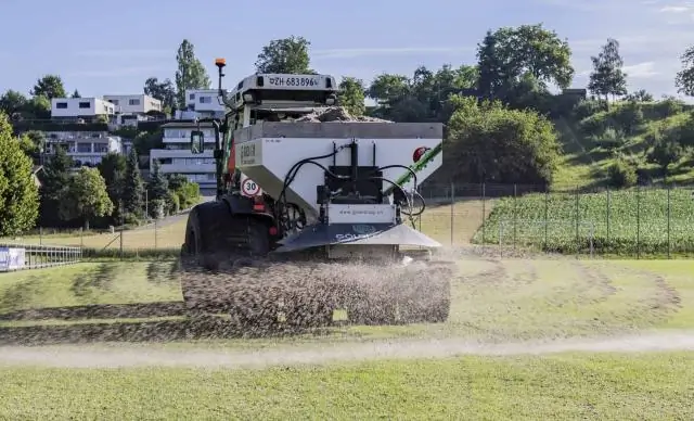 Почвенные грибы могут помочь определить устойчивость лесов к изменению окружающей среды