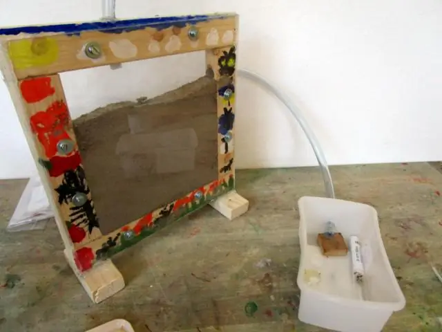 Отсутствие муравьев: энтомолог подтверждает первое земледелие в Сахаре 10 000 лет назад