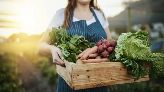 Экологически чистое животноводство (правда)
