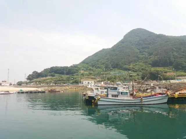 Рыба составляла удивительно большую часть рациона каменного века