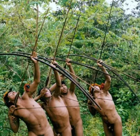 Борьба с незаконным промыслом