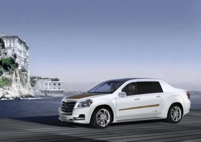 «Новая форма жизни» отвечает на вопрос об эволюции клеток