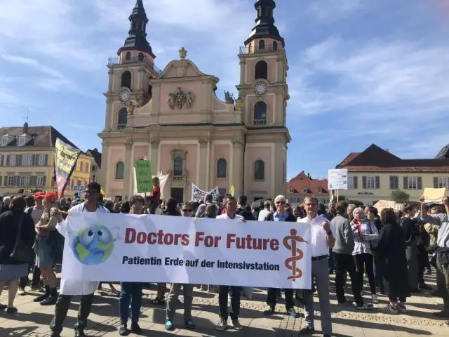Изменение климата угрожает крупнейшим в мире хранилищам углерода из морских водорослей