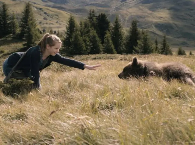 Обнаружение сложных костяных орудий возрастом 115 000 лет в Китае