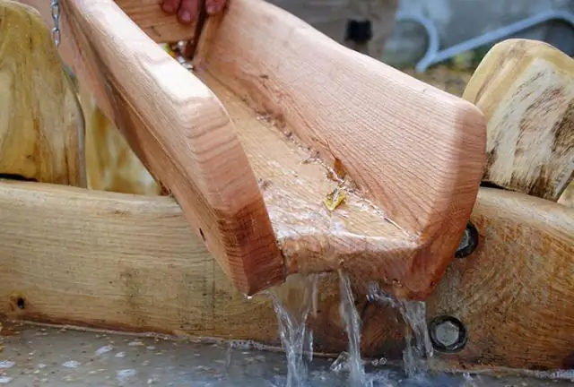 Природный снайпер убивает больничную бактерию: микробные генетики выяснили, как белок атакует Pseudomonas aeruginosa