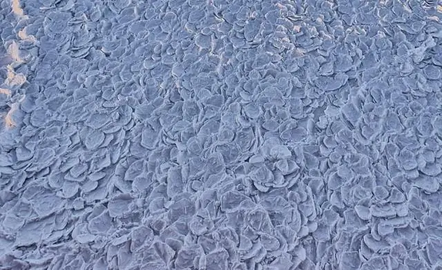 Ветер и характер морского льда указывают на изменение климата в западной части Арктики