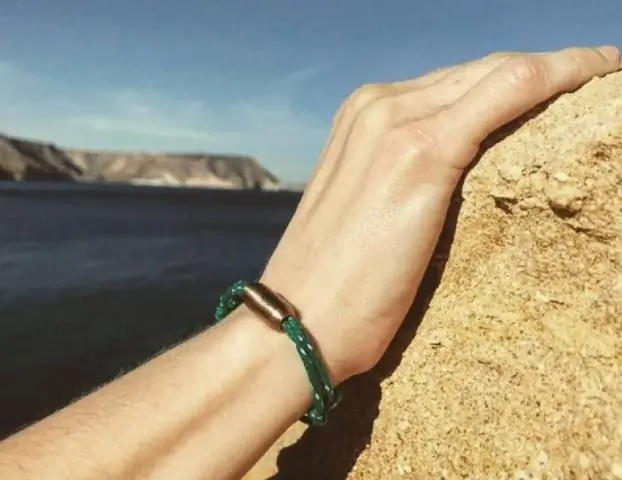 Морские водоросли укрывают кальцифицирующую морскую флору и фауну от окисления океанов