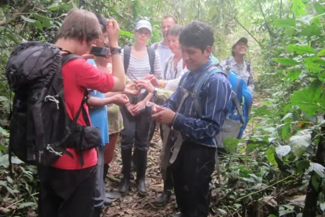 Как сосуществуют деревья: понимание биоразнообразия