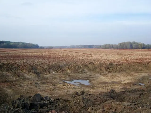 «Мы приближаемся к массовому вымиранию», говорят ученые: самые биоразнообразные водные сообщества могут быть наиболее уязвимыми к вымиранию