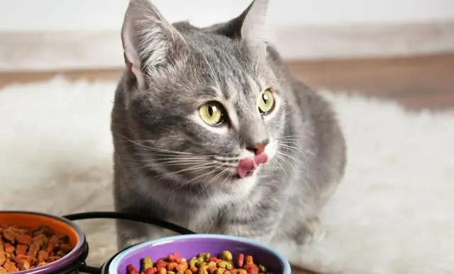 Жизненно важная роль морских хищников в снабжении питательными веществами экологии коралловых рифов