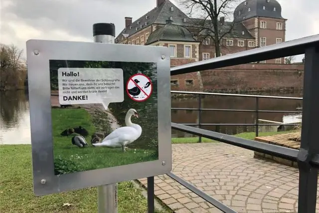 Кишечные бактерии могут означать жизнь или смерть птиц