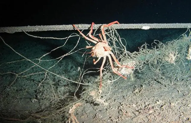 Когда Средиземное море затопило населенные пункты: резкое повышение уровня моря задержало переход к сельскому хозяйству в юго-восточной Европе