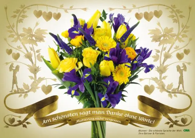 Бесплатная орхидея полагается на грибы над и под землей