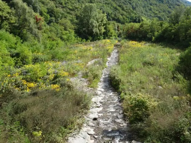 Исследования показывают низкую плотность снежных барсов в заповедной зоне Непала