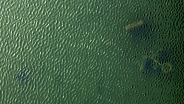 Мертвая зона Мексиканского залива не сократится в ближайшее время