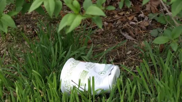 Древесные пеллеты: Возобновляемые, но не углеродно-нейтральные: Превращение лесов в топливо наносит ущерб окружающей среде