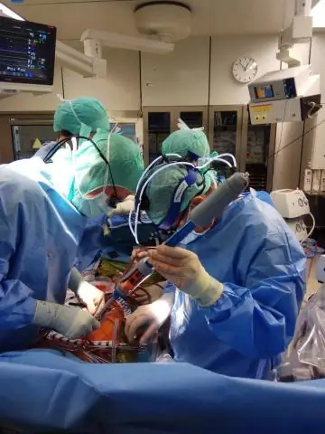 Обнаружена генетическая причина смертельного кожного заболевания, поражающего бультерьеров