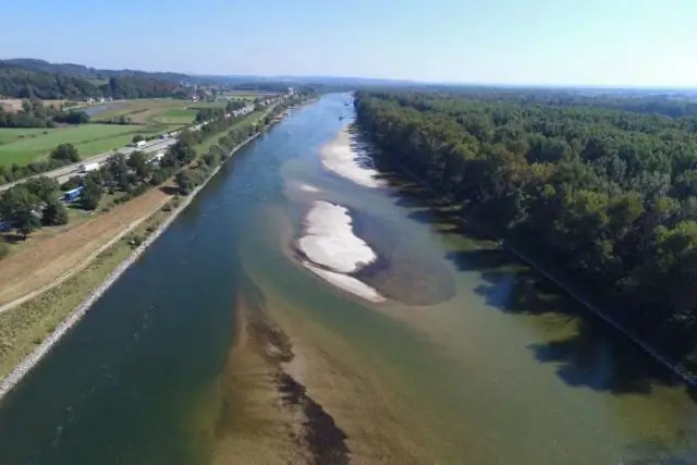 Водоплавающие птицы, пострадавшие от маловодья и высокого уровня соли в озерах