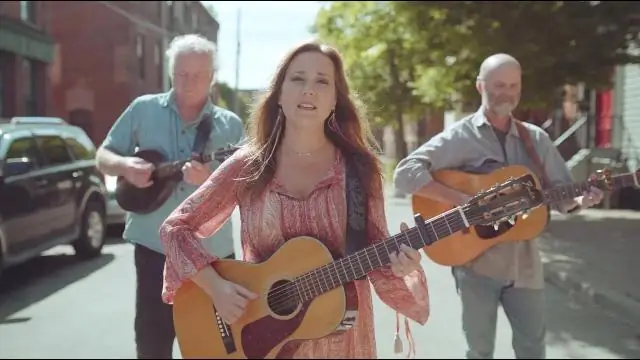 Blowin' на ветру -- Источник энергии? Гибридный плазмонный и пироэлектрический сбор световых флуктуаций