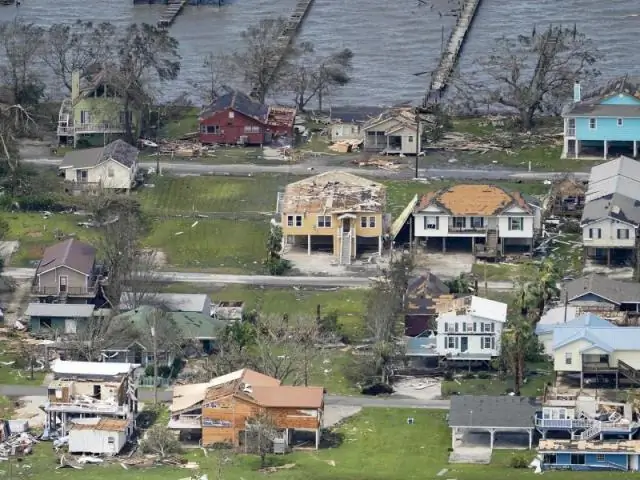 Являются ли огненные муравьи хуже этой весной из-за урагана Харви? Экологи проверяют, дали ли наводнения преимущества инвазивным муравьям