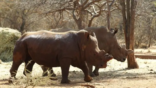 Резкое увеличение наводнений на прибрежных дорогах