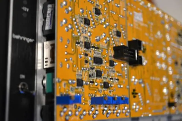 Панцири черепах помогают расшифровать сложные связи между современными ископаемыми видами