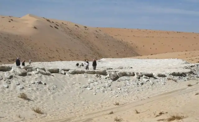 13 000-летние человеческие следы, обнаруженные у побережья Тихого океана в Канаде: новые свидетельства того, что люди проживали на западном побережье Канады в конце последнего ледникового периода