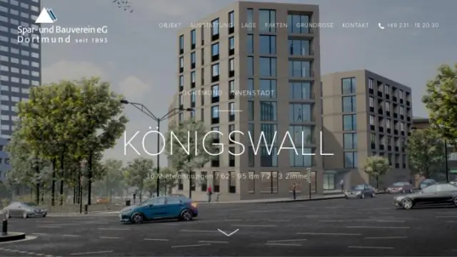 Окаменелости подчеркивают связь между Канадой и Россией 53 миллиона лет назад