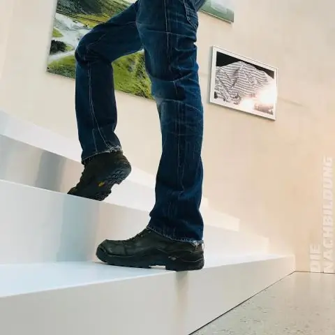 Гигантские вирусы в море: геном вируса Bodo s altans состоит из 1,39 миллиона оснований ДНК