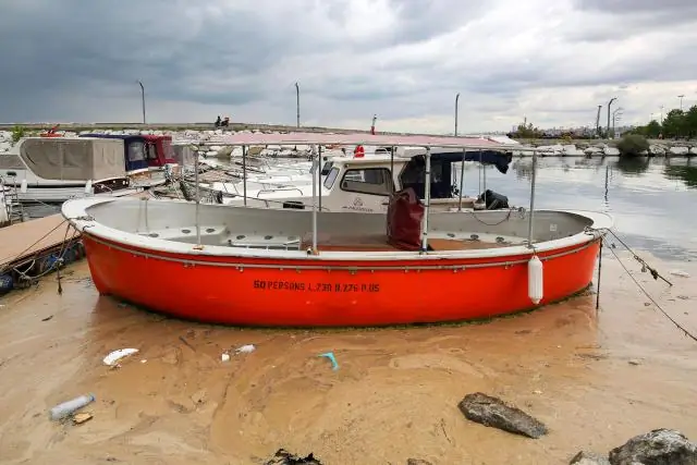 Популяция судака сокращается: изучите предупреждающий сигнал для популярной промысловой рыбы