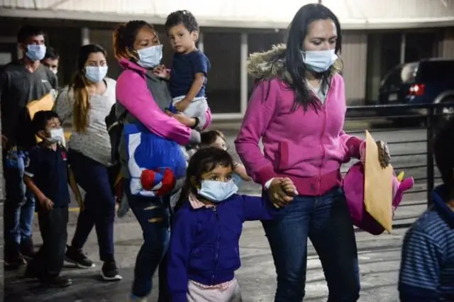 Предлагаемая пограничная стена нанесет вред растениям и животным Техаса, говорят ученые