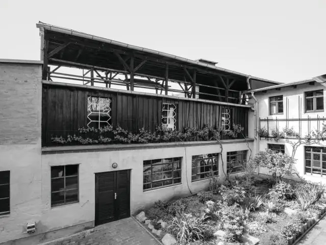 Замки из песка и удивительное происхождение основных клеточных функций: поиск связей физики зернистых систем с биологией астмы и эмбрионального развития