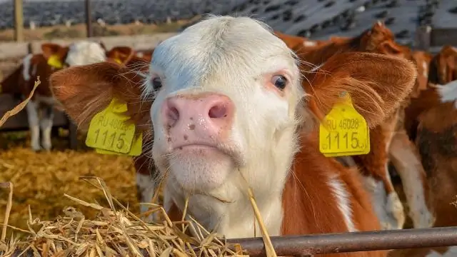 Давление воды – критический фактор для мегаземлетрясений