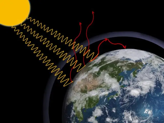 Глобальное потепление может превратить любимую пищу бабочек-монархов в яд