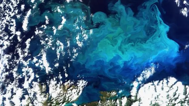 Новые NanoZymes используют свет для уничтожения бактерий: искусственные ферменты можно использовать в больницах и туалетах