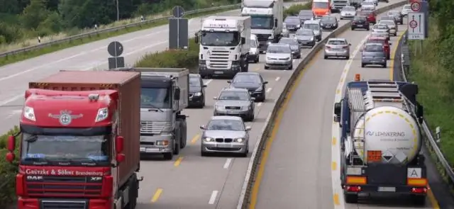 Возможное объяснение сокращения популяции бурого медведя