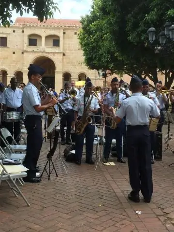 Погружение вглубь генома синего кита раскрывает животных’ экстраординарная эволюционная история