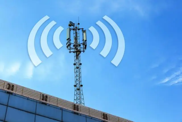 Клетки, запускающие цветение