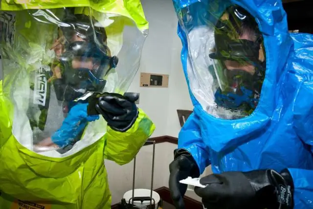 Стратегия выживания: как один фермент помогает бактериям восстанавливаться после воздействия антибиотиков