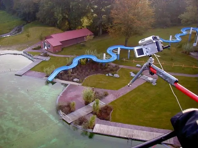 Растения перца поглощают антибиотики из средств личной гигиены