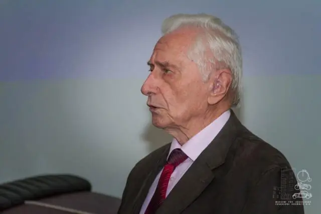 То, что один глаз лучше другого, может объяснить левый уклон муравьев