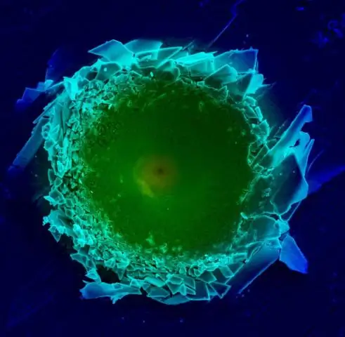 Ученые используют технологию углеродных нанотрубок для разработки надежных мембран для опреснения воды