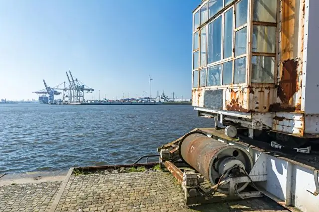 Исследование окаменелостей проливает свет на цвета крыльев древних бабочек