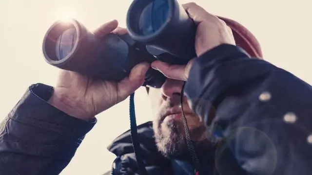 Болотный микроб обладает способностью поедать загрязнения: бактерия, обнаруженная в заболоченной местности Нью-Джерси, обладает удивительной способностью разлагать металлические загрязнители без испол