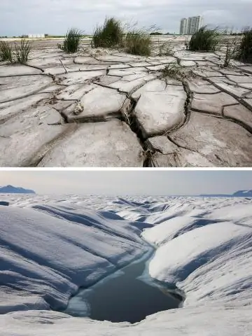 Пятая часть углерода, попадающего в прибрежные воды восточной части Северной Америки, захоронена
