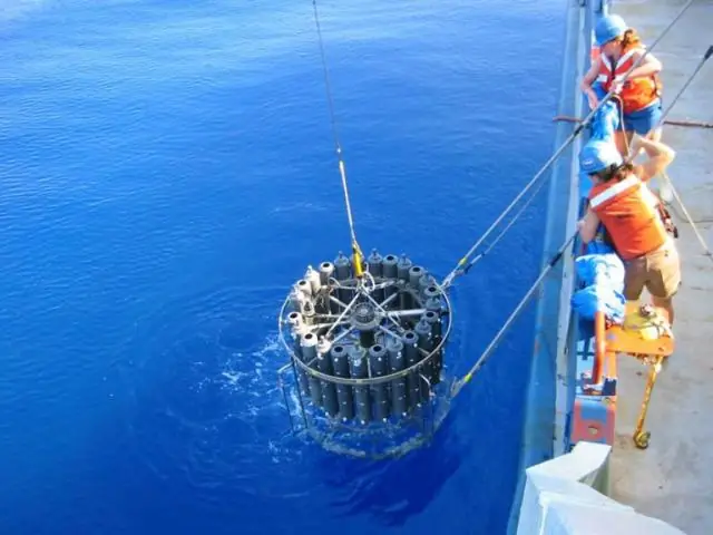 Вирусы могут развиваться параллельно у родственных видов