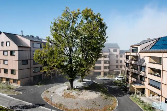 Изображения животных, используемые в маркетинге, могут исказить общественное мнение об их риске для выживания