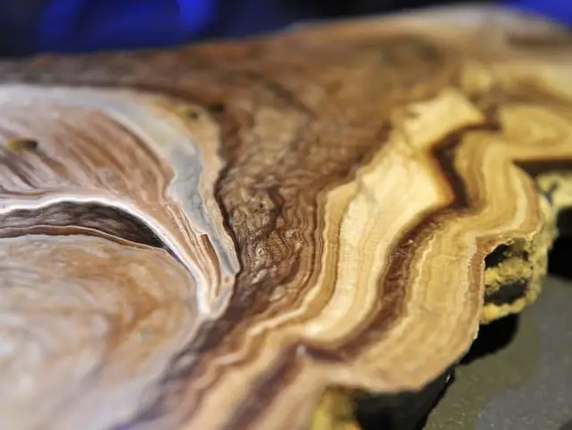 Экстремальная изменчивость климата, дестабилизирующая экосистемы западного побережья