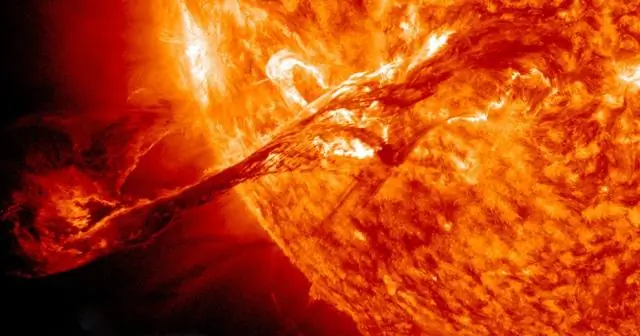 Время решает все: исследователи описывают генетический часовой механизм в развитии зародышевых клеток