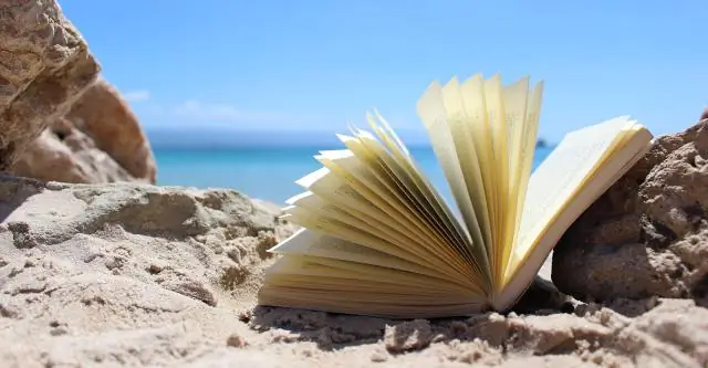 BESSY II проливает свет на то, как устроен внутренний компас у магнитотактических бактерий